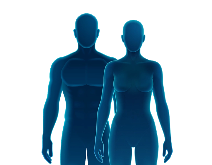 Stylized male and female bodies with a teal glow representing physical changes during GLP-1 use